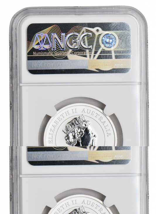 1/2 oz Ag - Australia Lunar - Rok Myszy 2020 - kolor - NGC MS70